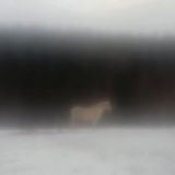 The Snow Spirit