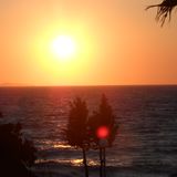 Sunset Vol. 8