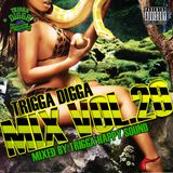 TRIGGA DIGGA MIX VOL. 29