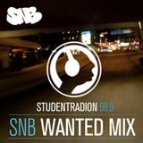 SNB Wanted Mix feat. Estated & AMC