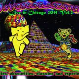 Psychedelicious REDMOON Chicago 2015 Vol 2