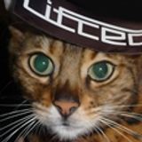 Lifted Music Show 017