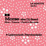 LAMIXETTE#61 MORSE