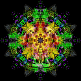 Anacutik @ Felix b-day party 2h progressive & full-on psytrance PSYCHEDELIC TRANCE
