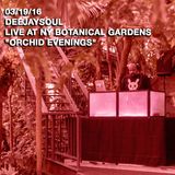 03/19/16- DEEJAYSOUL, Live at NY Botanical Gardens "Orchid Evenings"