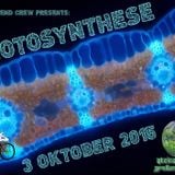 MICO X - Photosynthese 03.10.2015 (Steinshütte - Großen Buseck)