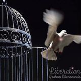 Graham Edensounds- Liberation
