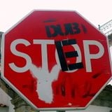 The Dub and The Step