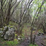 Funkast #4 - 18_05_2014