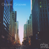 Organic Grooves - Deep House Mix