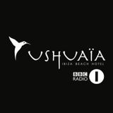 Paul Reynolds Live at Ushuaia Tower Pool Side Opening 14th May 2014 #4 hour set