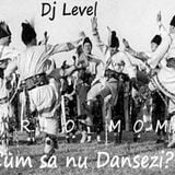 Dj Level - Cum sa nu Dansezi?(Promo mix)