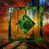 ◘H. ◘A. ◘D. ◘ // Dubstep-Electro Mix //
