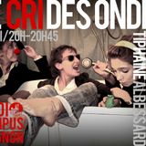 Le Cri des Ondes - Radio Campus Avignon - 13/12/11