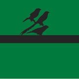 Strange Birds
