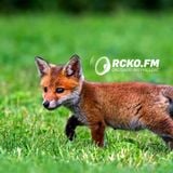 FUR FRICTION RADIO SHOW 010 - Omech