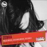 Zebra – Drum & Bass Today Special #015