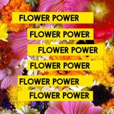 Bassfess 2 Dec Flower Power Toon