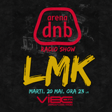 Arena dnb radio show - vibe fm - mixed by LMK - May 20th 2014