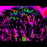 Westhr33 2011 DNB Flex