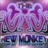 the new monkey 22/2/03 dj cliffy - mc tazo b2b turbo-d