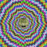 DJ Gero & Highko & Phatmatix & Kindzadza - Peak Expander 01-06