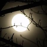 After Dark