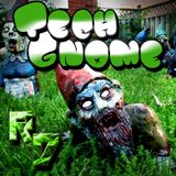 Tech-Gnome (TechHouse and House)