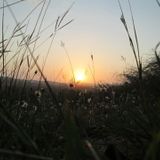 Crepúsculo Caribe.