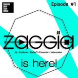 ZAGGIA is here! Episode #1 | Best of Soulful, Deep & Tech House Mix |2014 |