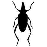 Kickroach Radio Show January 2016 - Danyck