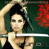 Skilled and Dangerous 3