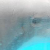 'For Dolphin Beachie (1) - Violin-Viola-solo für Delphin Beachie'