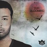 T/LEC "Blooming" Trailer Quick Mix