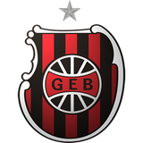 Especial sobre o Brasil de Pelotas - 09.01.2016