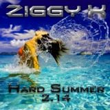 Hard Summer 2.14 (special podcast)