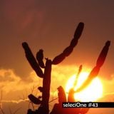 seleciOne #43