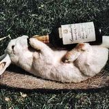 Dj Tordai-Easter mix