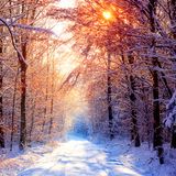 Diep Diep Doera - BonBonk 028: Warm Sounds for a Cold Winter