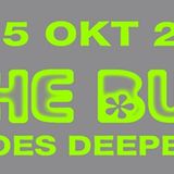 Celestial "Playing it roughly safe" mix @ The BUS goes deeper, Frisco Inn Amsterdam - 05102013