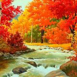 AUTUMN SET by D.J. MIRKO B.