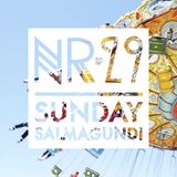 Sunday Salmagundi Nr. 29- Mixed by Abdel Hady