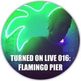 Turned On Live 016: Flamingo Pier