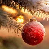 We Wish You A Reggae Christmas