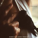 Infinite Search - Sounds of the Canyon