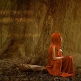 Firmament - Unity with nature (Guest Mix for Radio Show Colored Dreams with Paul Meise)