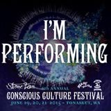 Storme @ Conscious Culture Festival 2015