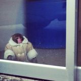 MonkeyTimeRadioHour_7-Nov-2012