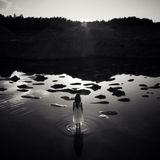 Laima Lisauskiene - Dimensions