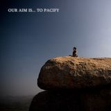 Our aim is... to pacify, chill psy dub mix